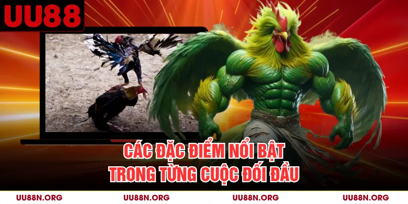 Các đặc điểm nổi bật trong từng cuộc đối đầu