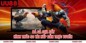 Đá Gà Cựa Sắt - Hình Thức So Tài Hấp Dẫn Trực Tuyến