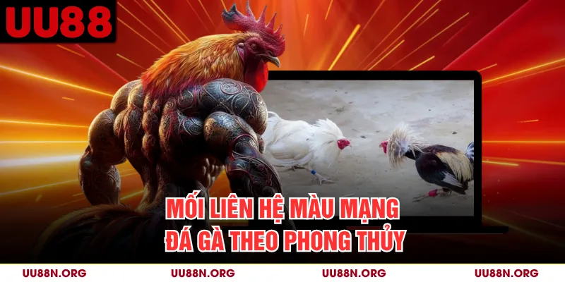 Mối liên hệ màu mạng đá gà theo phong thủy